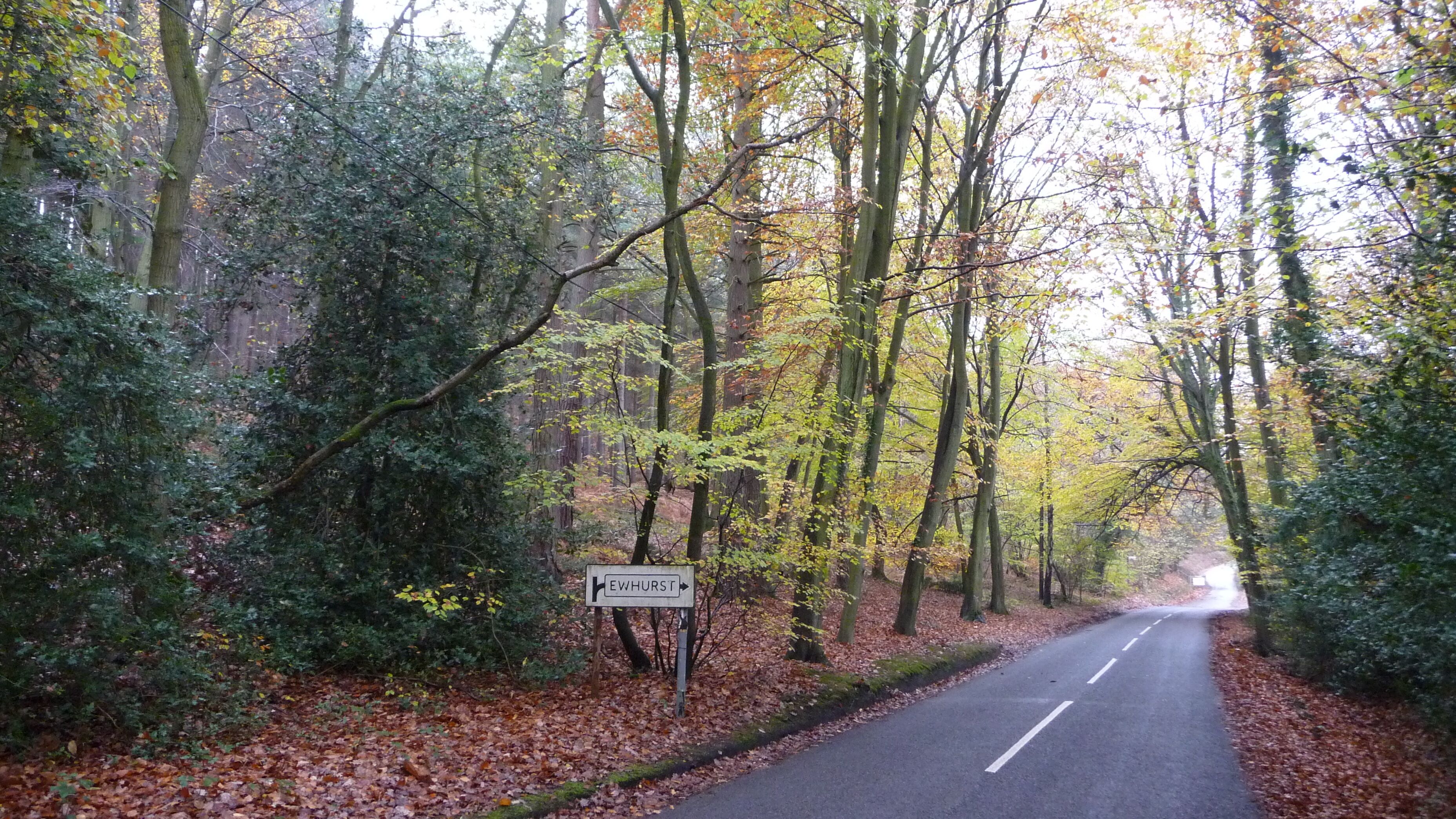 A pre-Worboys road sign in Ewhurst Road, Peaslake, Surrey. Apparently Surrey has quite a lot of these signs compared to other places. This one had fallen off the posts, but by the time I took this photograph it had been fixed.