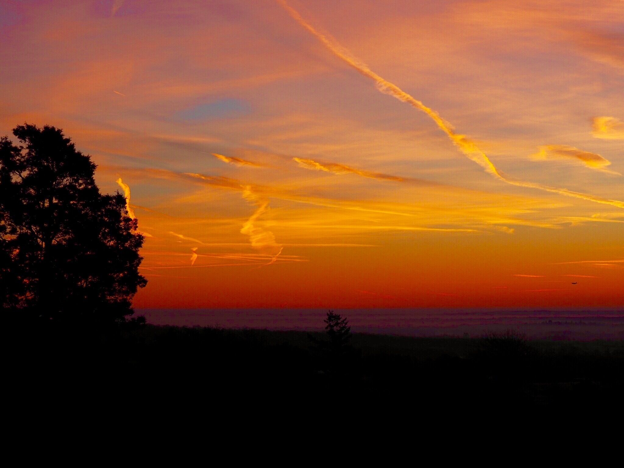 A sunset with a tree silhouette and a clear sky.