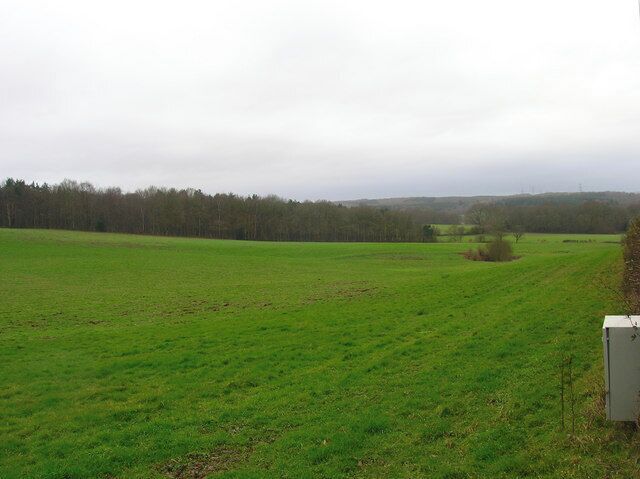 Rockfield Plantation Little Shelley Wood is to the right whilst Beckley Woods are on the horizon.