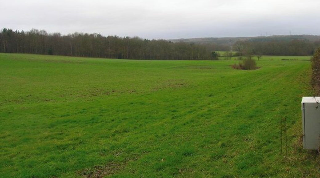 Rockfield Plantation Little Shelley Wood is to the right whilst Beckley Woods are on the horizon.