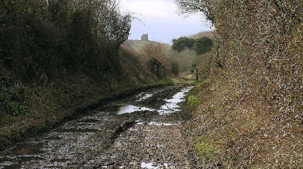 Disused railway near Portesham. Trackbed of line between Upwey and Abbotsbury, closed 1952, with gangers hut and St Catherine's Chapel in distance.