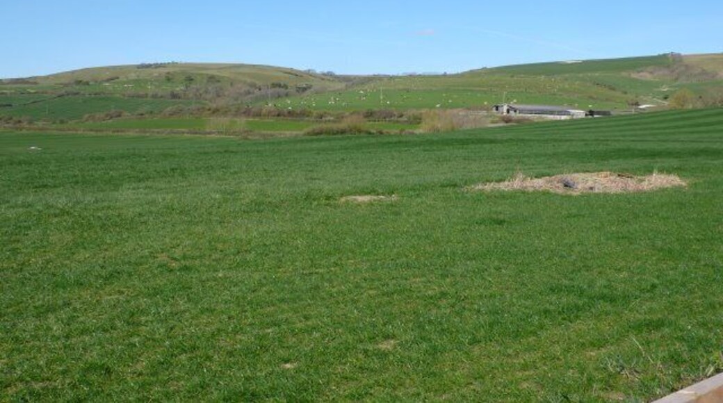 Countryside near Portesham View NW across the square from close to the B3157.
