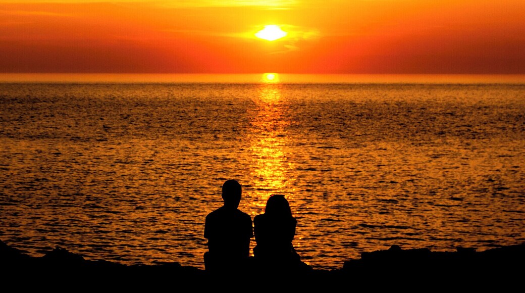 Golden hour over portland, these two were just taking it in, so thought it worth a snap.