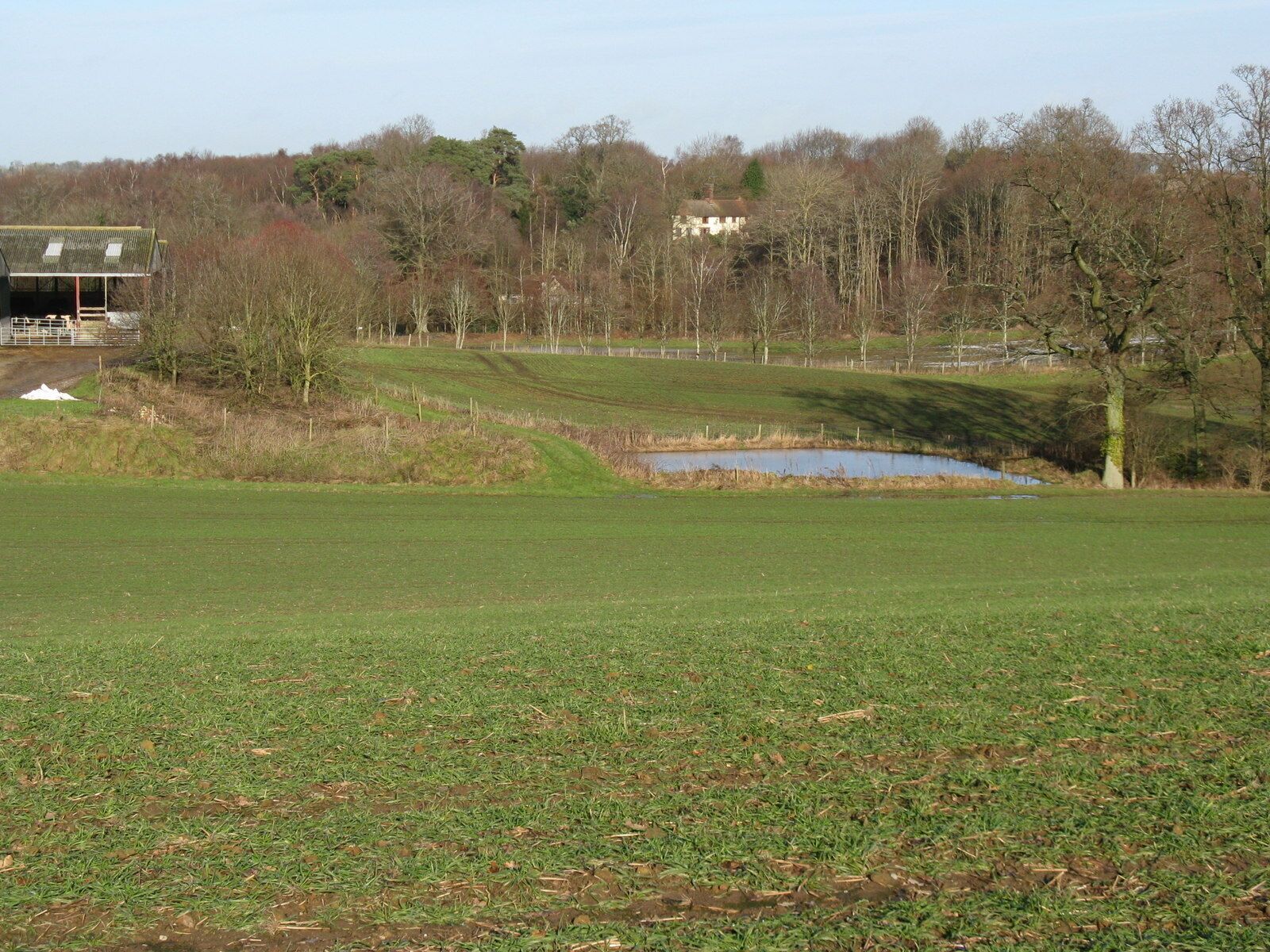 Pond at Threal's Farm