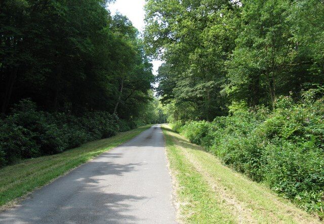 Drive and footpath to Bignor Park Bowler's Crab Wood is on the left and Dukes Copse to the right