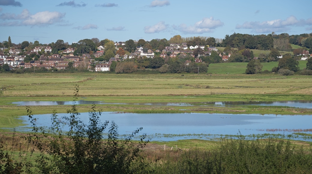 View of Pulborough Brooks in West Sussex