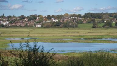 View of Pulborough Brooks in West Sussex