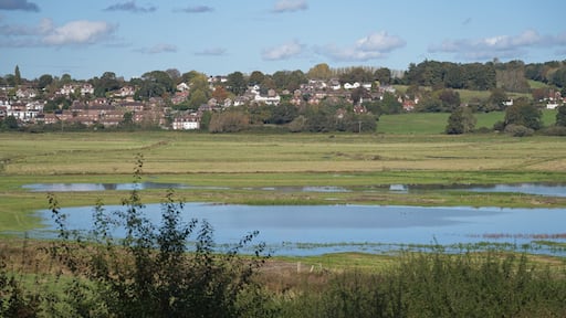 View of Pulborough Brooks in West Sussex
