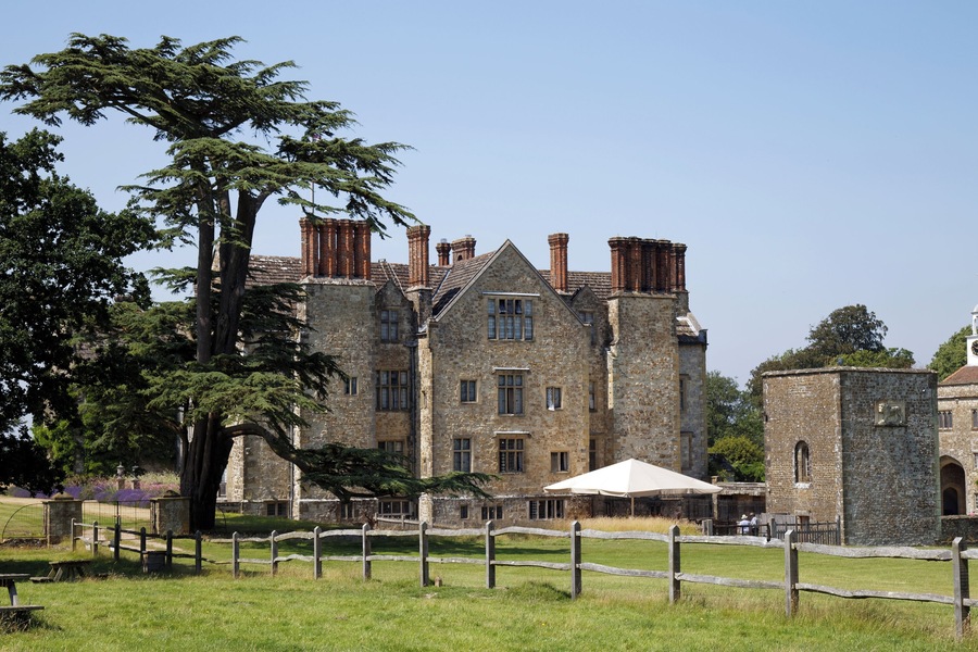 A Lebanon cedar in a lawn at the east face of Parham House, in West Sussex, England. Camera: Canon EOS 6D with Canon EF 24-105mm F4L IS USM lens. Software: file lens-corrected and optimized with DxO OpticsPro 10 Elite and Viewpoint 2, and further optimized with Adobe Photoshop CS2.