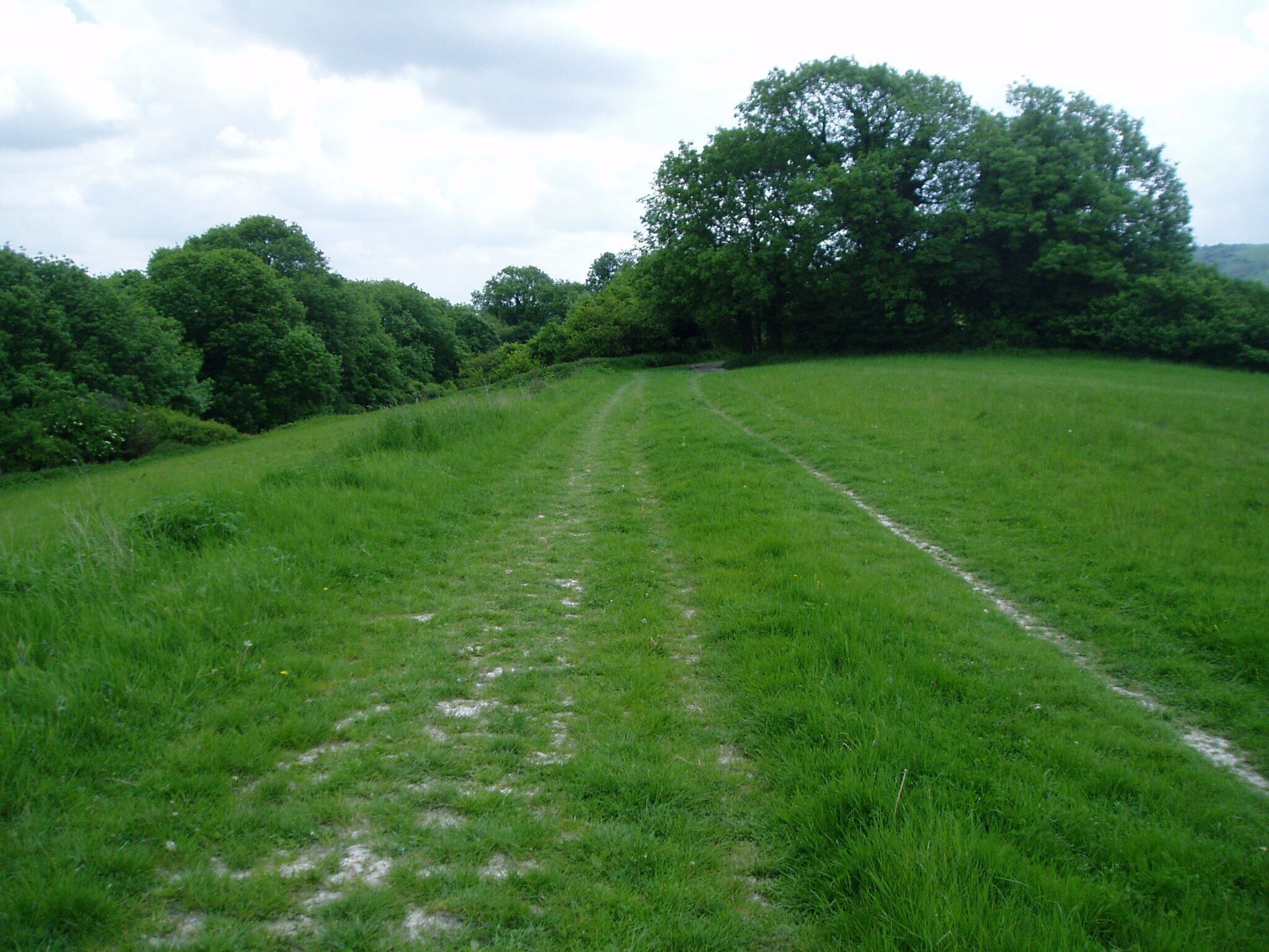 Bridleway no. 2666 looking east towards Rowdell Alternative route for South Downs Way avoiding A24 foot crossing.