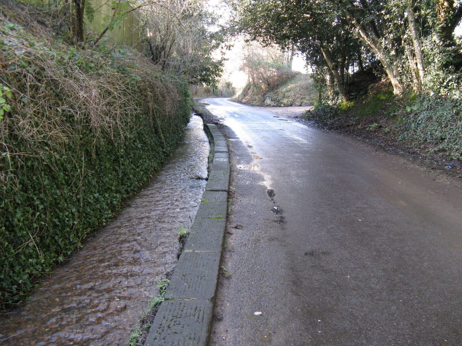 Stream alongside Stream Lane Heading towards Nutbourne