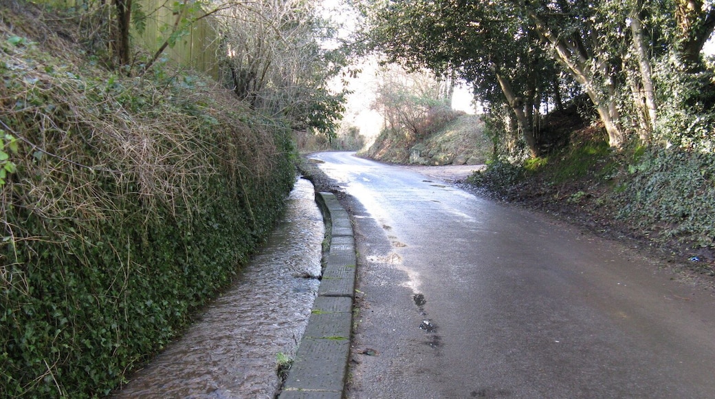 Stream alongside Stream Lane Heading towards Nutbourne