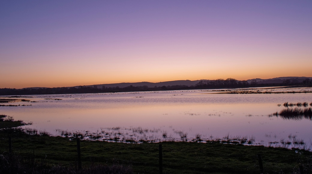 Sunset over a lake at Pulborough Brooks nature reserve.