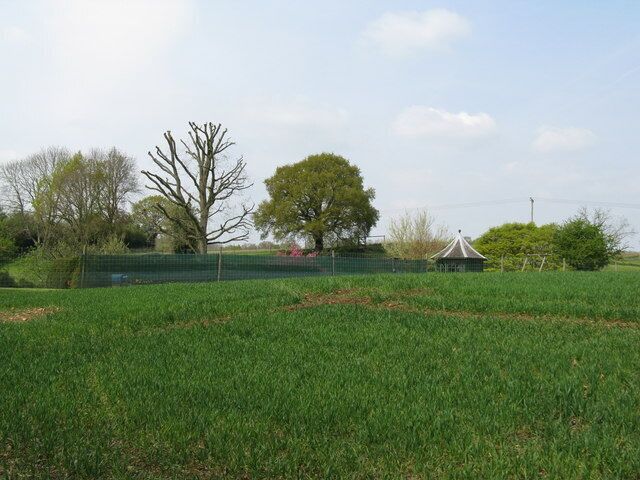 Recent tree surgery in garden at Little Bognor