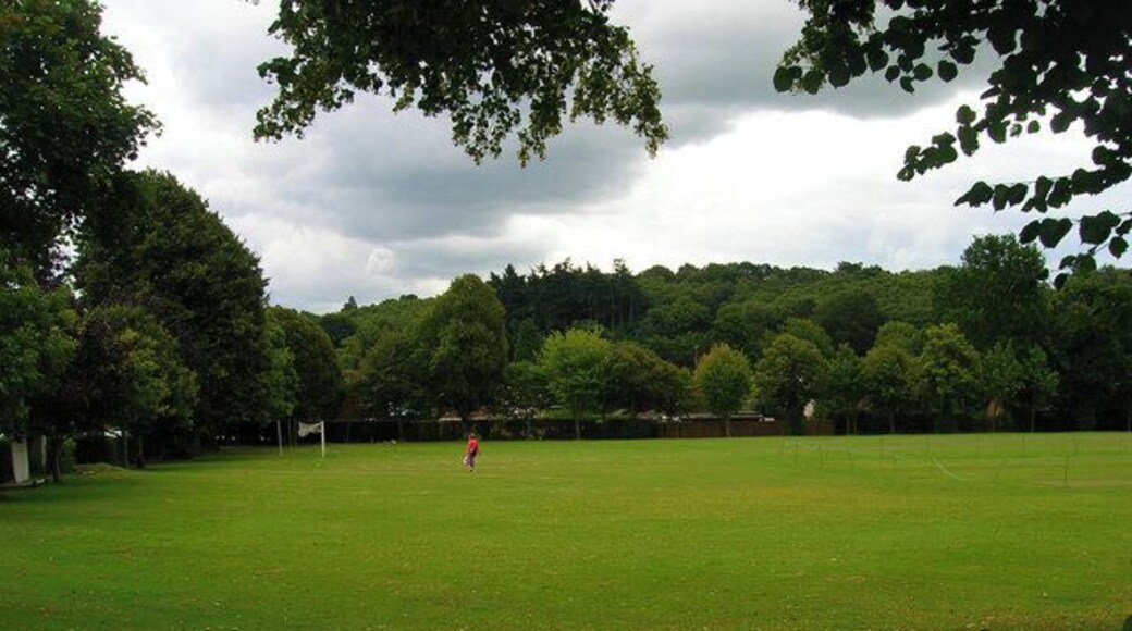 Playing Field, Fittleworth. Located on the corner of Upper Street (A283) and School Lane north of the school. The backdrop is the woods of Fittleworth Common.