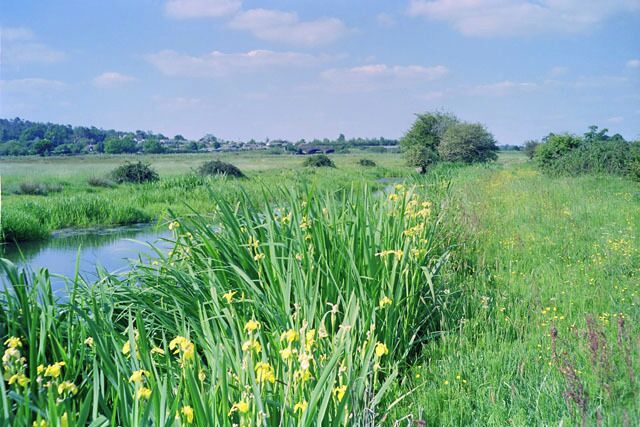 Arun navigation - cut to first lock Navigation on the Arun was improved in 1790 by a short cut involving three locks and a tunnel. The last barge passed in 1889 and the cut was abandoned. This is the cut leading up to the remains of the bottom lock, which is mostly hidden in the bigger clump of bushes.
