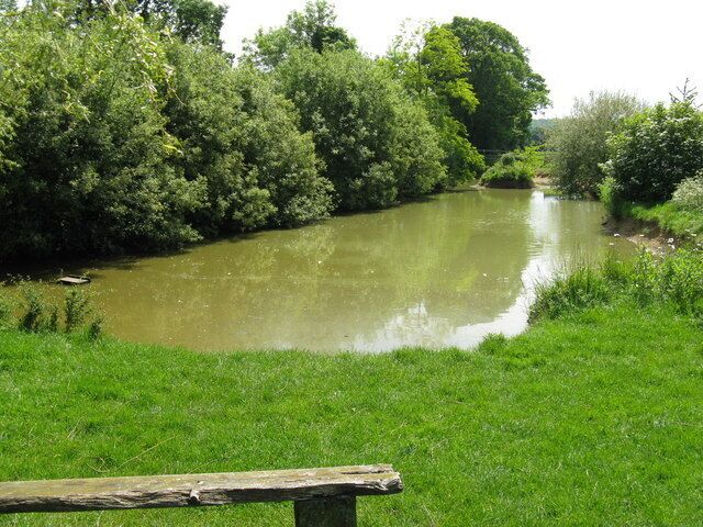 Pond adjacent to Broadbridge Farm