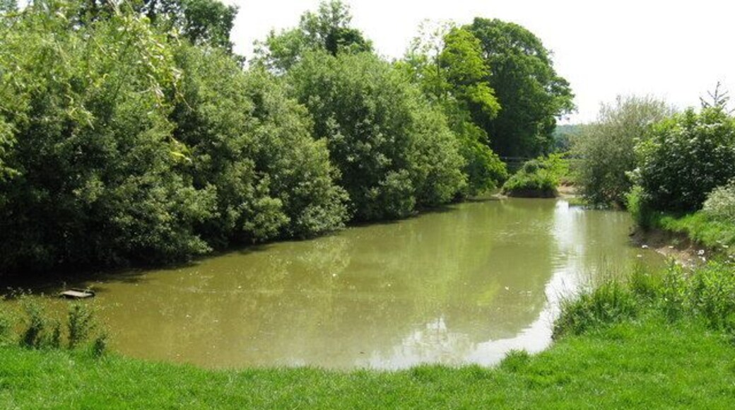 Pond adjacent to Broadbridge Farm