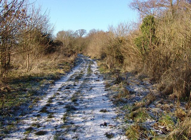 Lane at the back of Ramsey Golf Course This is just off the edge of the Fen land and shows how quickly the habitats change.