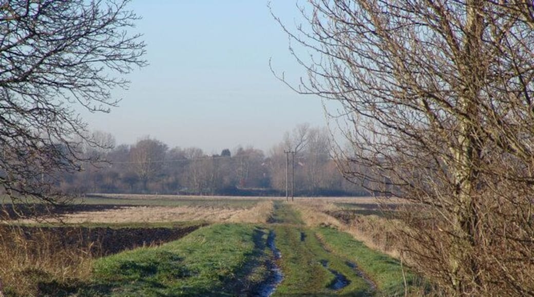 Long Drove Looking West down Long Drove from Mawdesley's Farm
