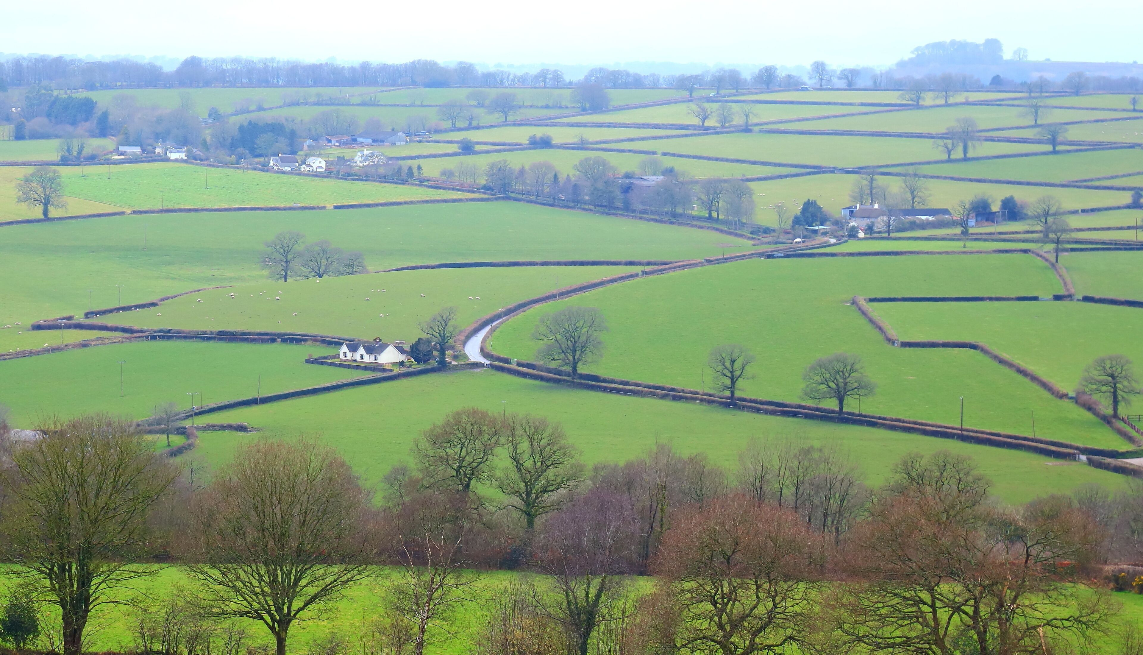 A rural landscape with green fields, stone walls, and scattered trees.