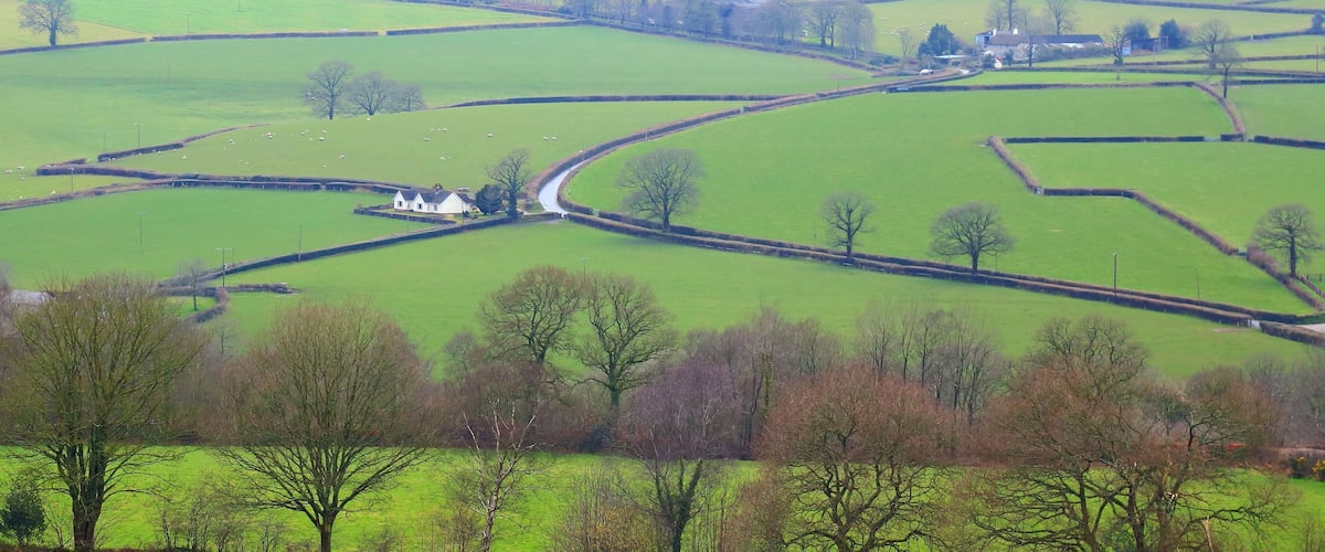 A rural landscape with green fields, stone walls, and scattered trees.