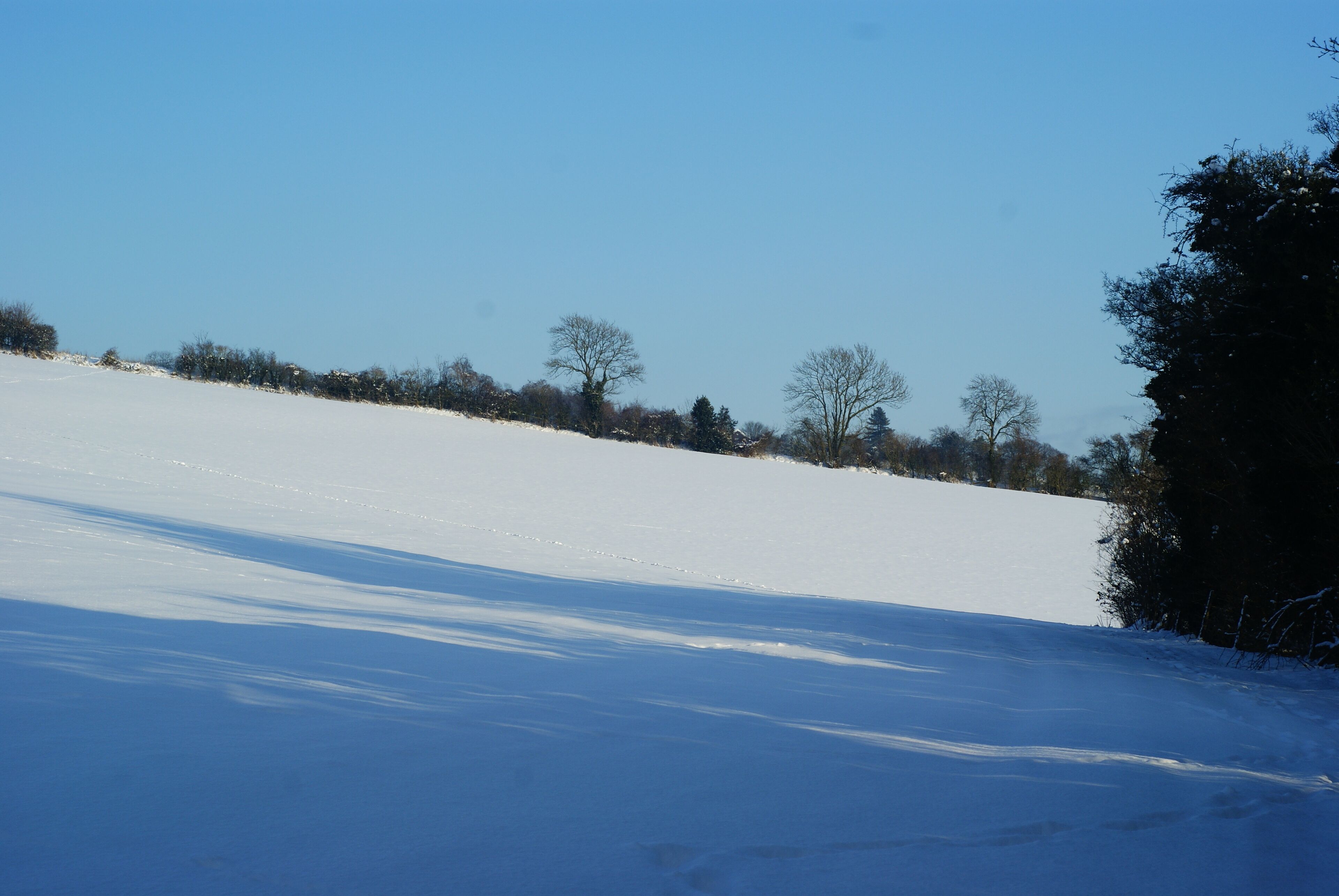 Looking to the East On the south-facing slope of Ockley Hill, on the North Downs. The North Downs Way, and my route, lies to the left of picture; an uphill struggle with the snow-covered gradient.