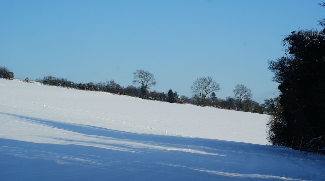 Looking to the East On the south-facing slope of Ockley Hill, on the North Downs. The North Downs Way, and my route, lies to the left of picture; an uphill struggle with the snow-covered gradient.