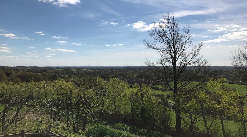 Beautiful views and a sunny day in Surrey, England. #views #surrey