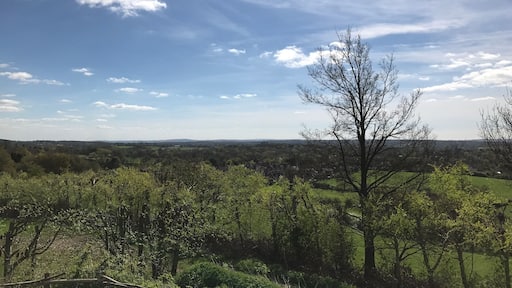Beautiful views and a sunny day in Surrey, England. #views #surrey