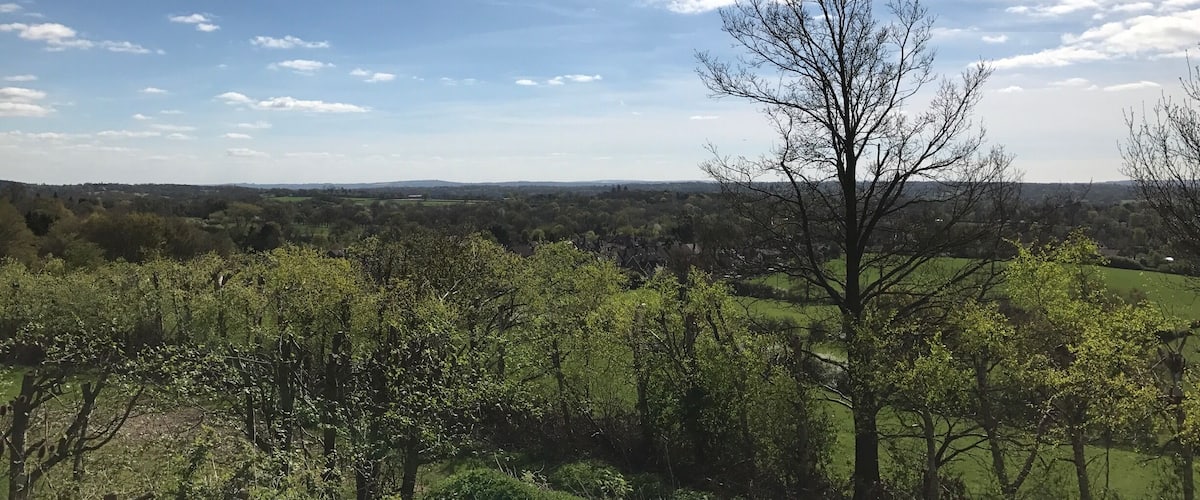 A landscape with a clear sky, a prominent leafless tree, and a distant view of a town.
