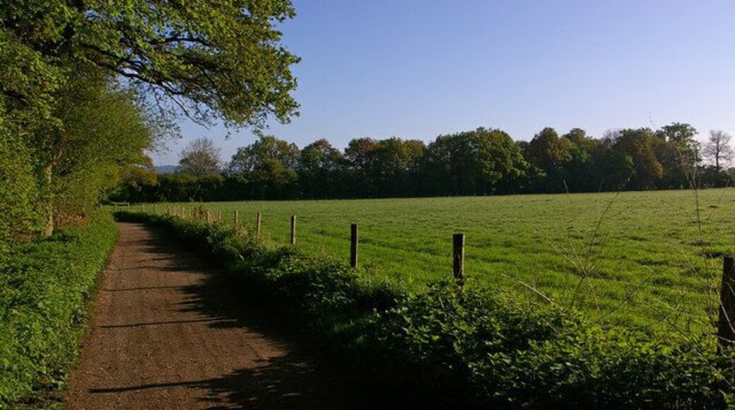 Field near Perry Wood Perry Wood is on the left of the track, which forms part of Route 21 of the National Cycle Network.