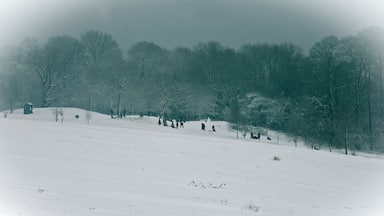 Winter in Merstham Feb 2012