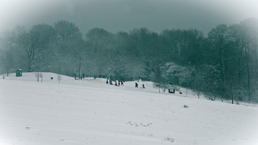 Winter in Merstham Feb 2012
