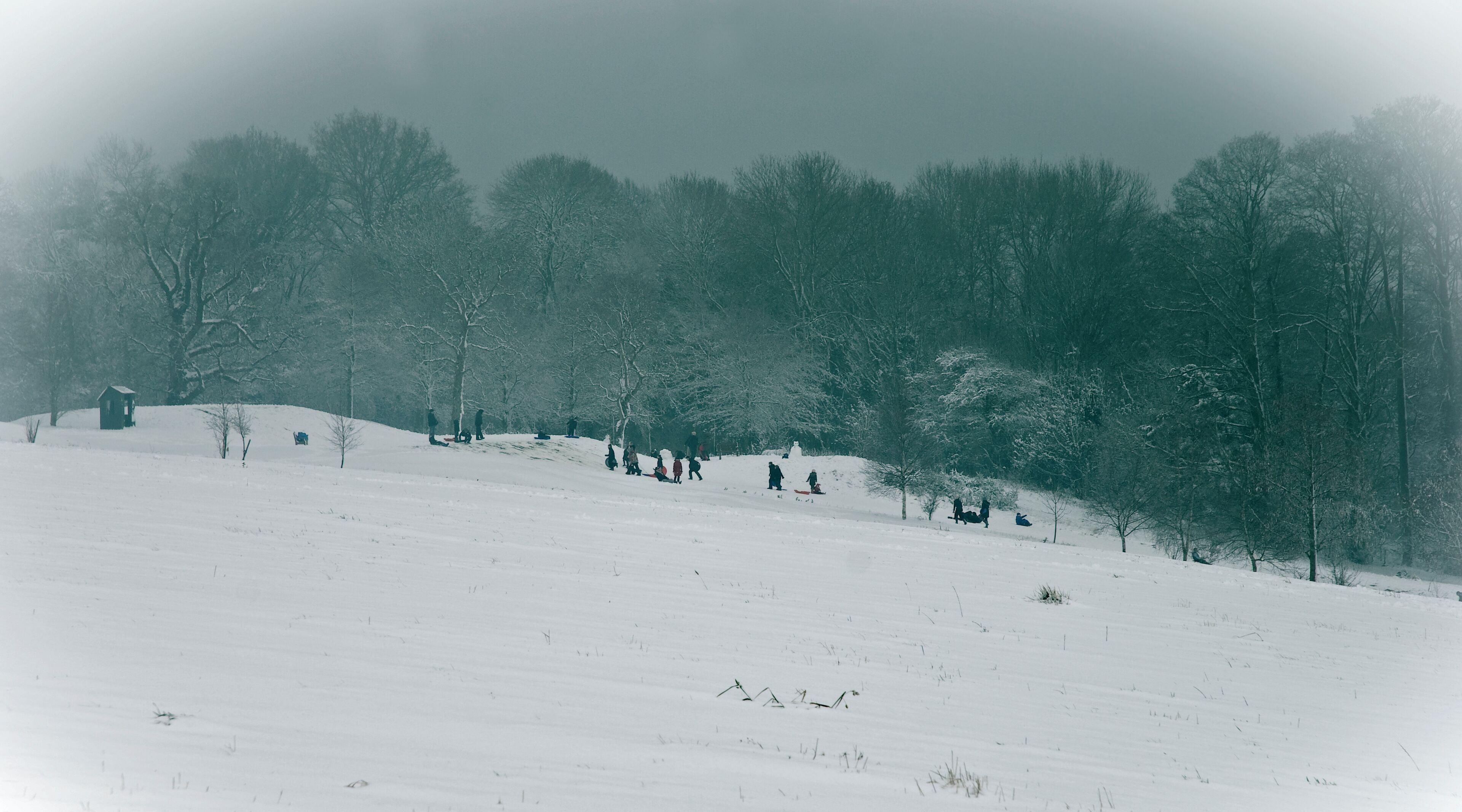 A snowy landscape with a group of people sledding down a hill, surrounded by trees.