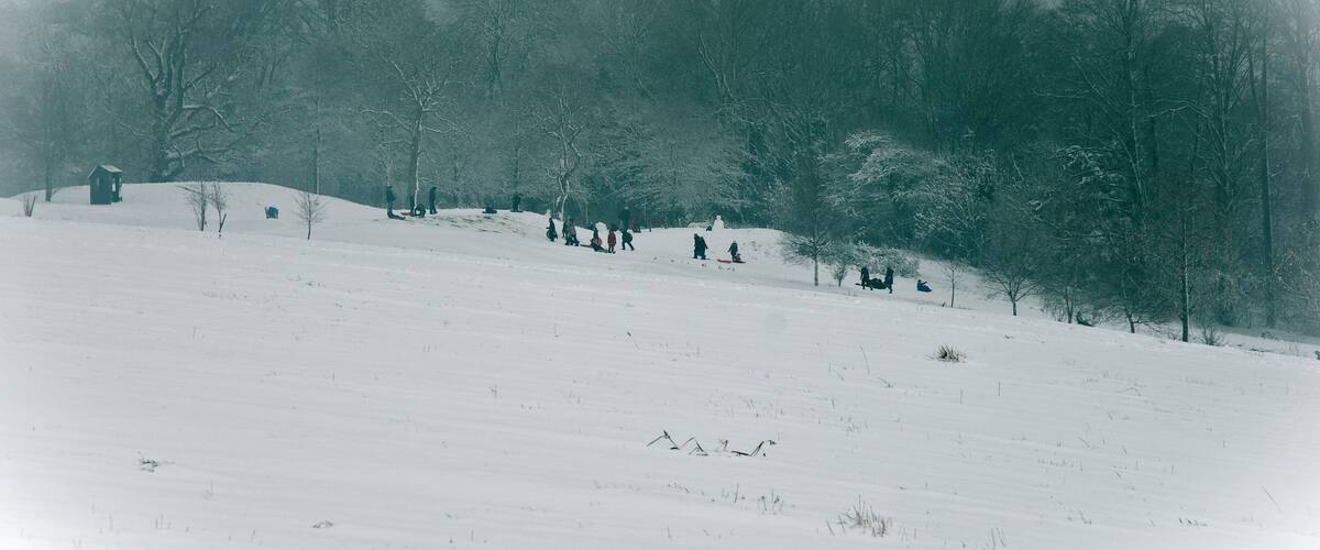 A snowy landscape with a group of people sledding down a hill, surrounded by trees.