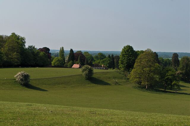 A grassy field with scattered trees and a distant building.