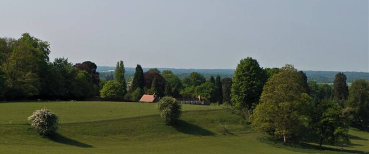 A grassy field with scattered trees and a distant building.