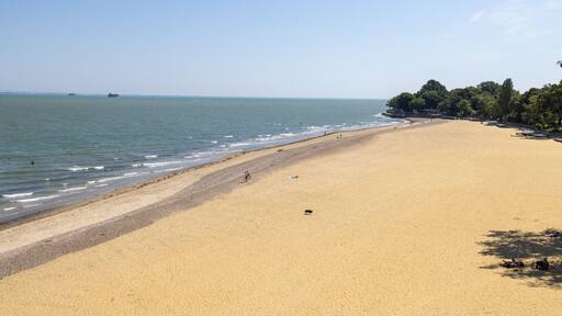 Ryde