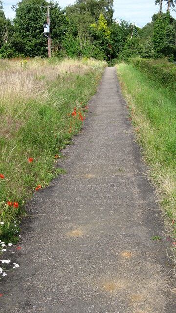 Footpath heading NE down into Ashdon This footpath runs parallel to the road that drops down into the valley where the village of Ashdon is located. Prior to the Black Death in the 14th century the village was at the top of the hill SW of the current location. The survivors moved to the present location. The church remains in its original setting on the hill