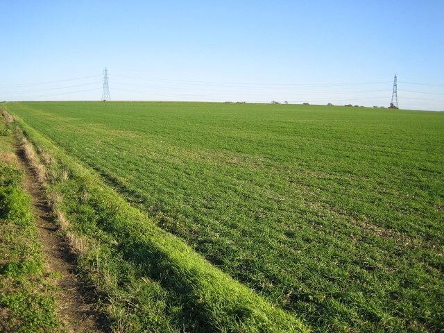 Clavering An endless sea of winter wheat stretches away from where the footpath from Clavering to Coldhams Farm just clips across the north-western corner of this grid square. The electricity transmission line runs from Pelham sub-station to Walpole sub-station.