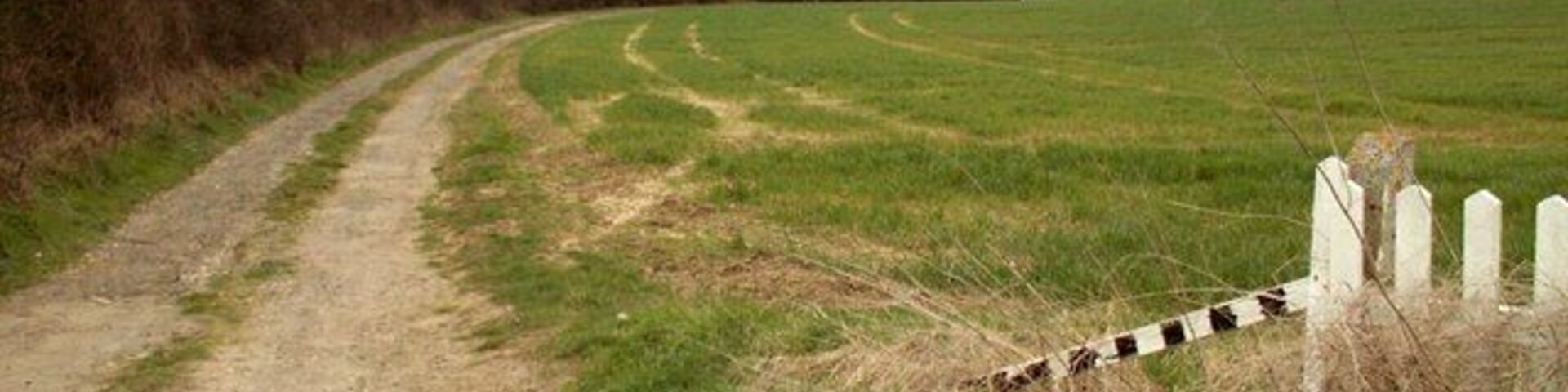 Un camino rural de tierra que serpentea por un campo con una cerca blanca y una reja.