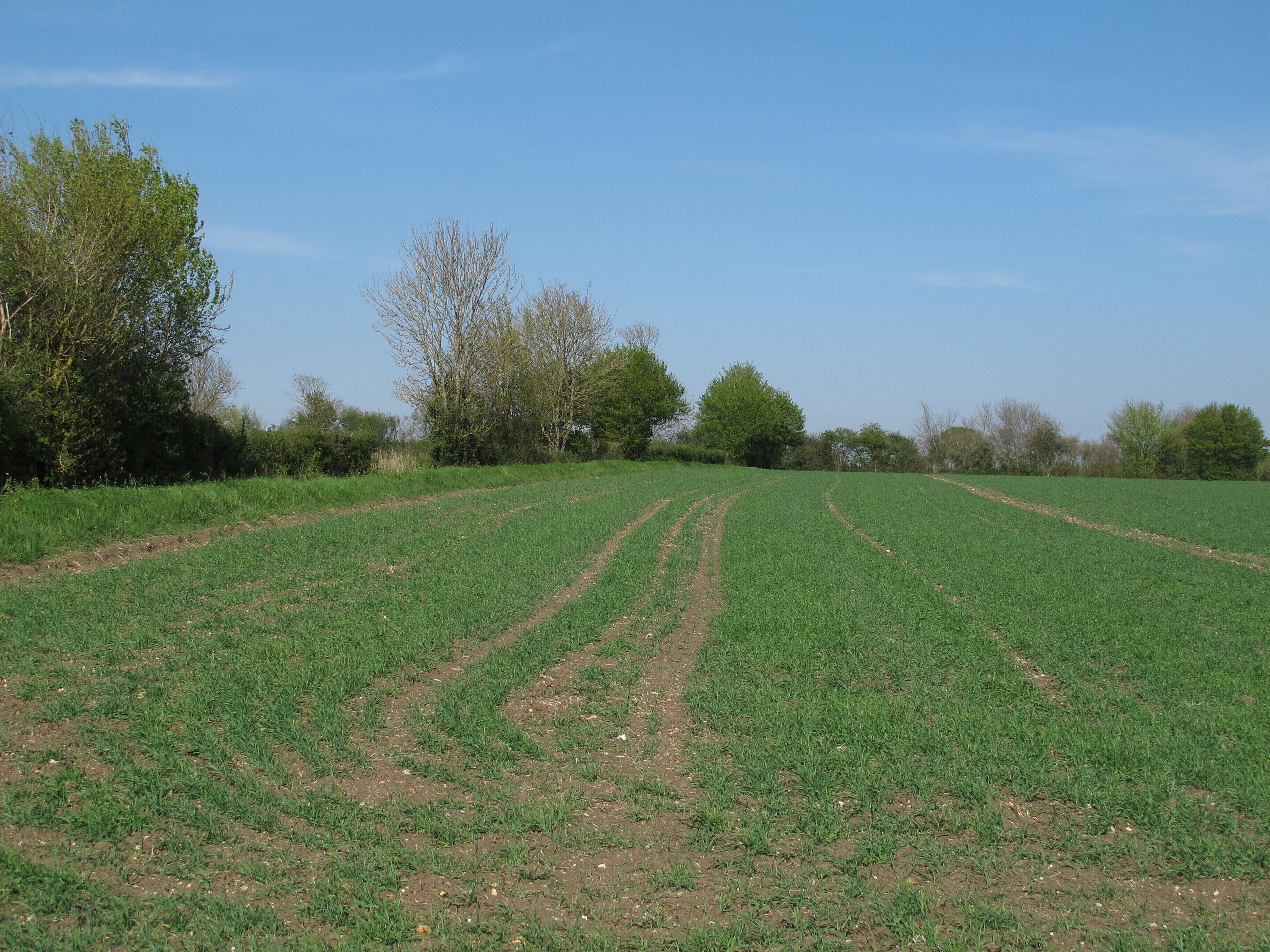 Arable land near Fields Farm, Hempstead