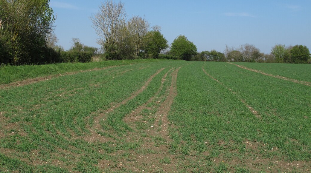 Arable land near Fields Farm, Hempstead