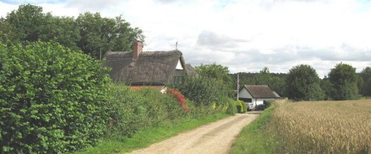 A rural road with thatched-roof houses, a field, and dense greenery.