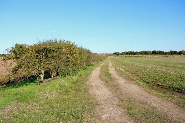 Field track beyond a little-used farm store at Hinxton Piles of beets surrounded by straw bales, a few empty farm buildings then this track heading nowhere.