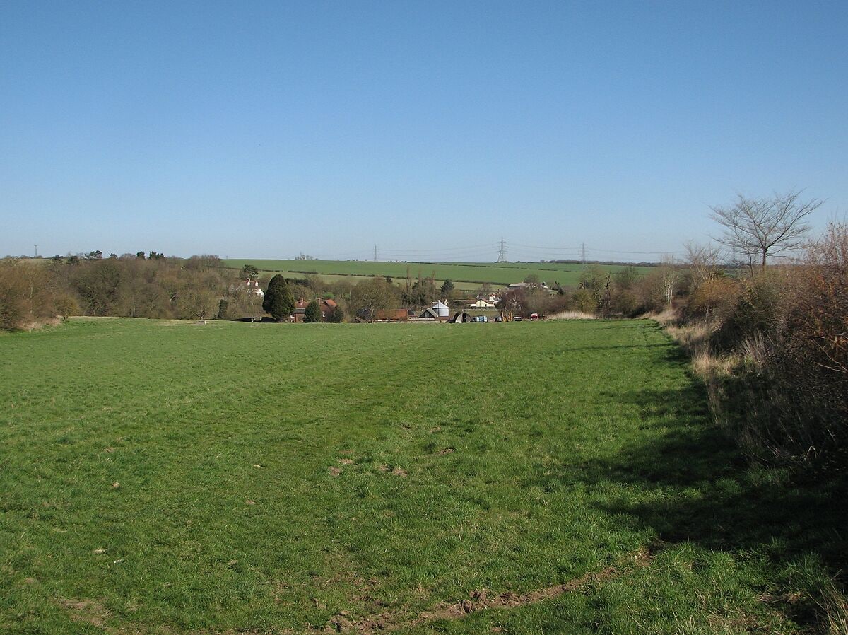 A green field with a small building and trees in the background.