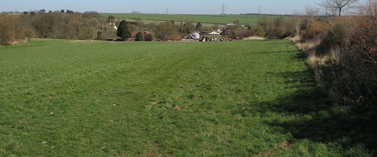 A green field with a small building and trees in the background.