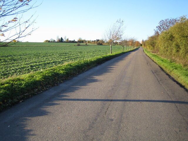 Clavering: Disused windmills This grid square, to the north-west of Clavering, is blessed with two former windmills. The North mill is in sight directly at the end of the road, whilst the similar South mill is visible to the left, and immediately to the left of the prominent conifer tree on the horizon. Close-up views of the two are in 281333 and 281340