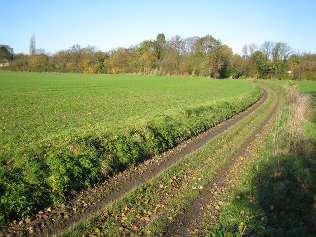 A rural landscape with a curved dirt path, green fields, and trees in the background.